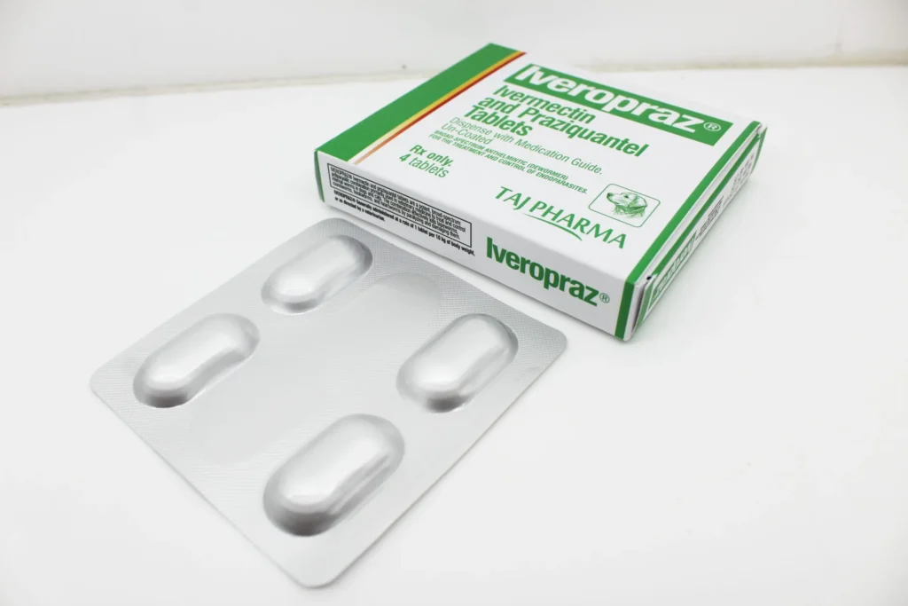 Ivermectin 2mg and Praziquantel 50mg Tablets Manufacturer Supplier in Vapi Gujarat