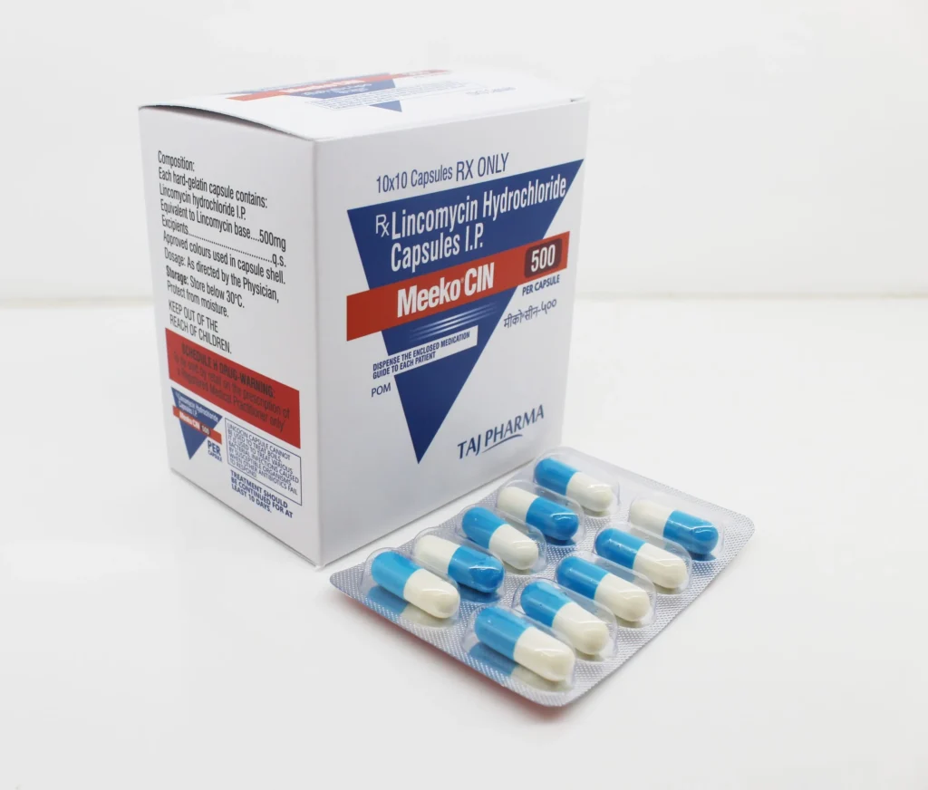 Manufacturer of Lincomycin 500mg capsule Supplier PAN India