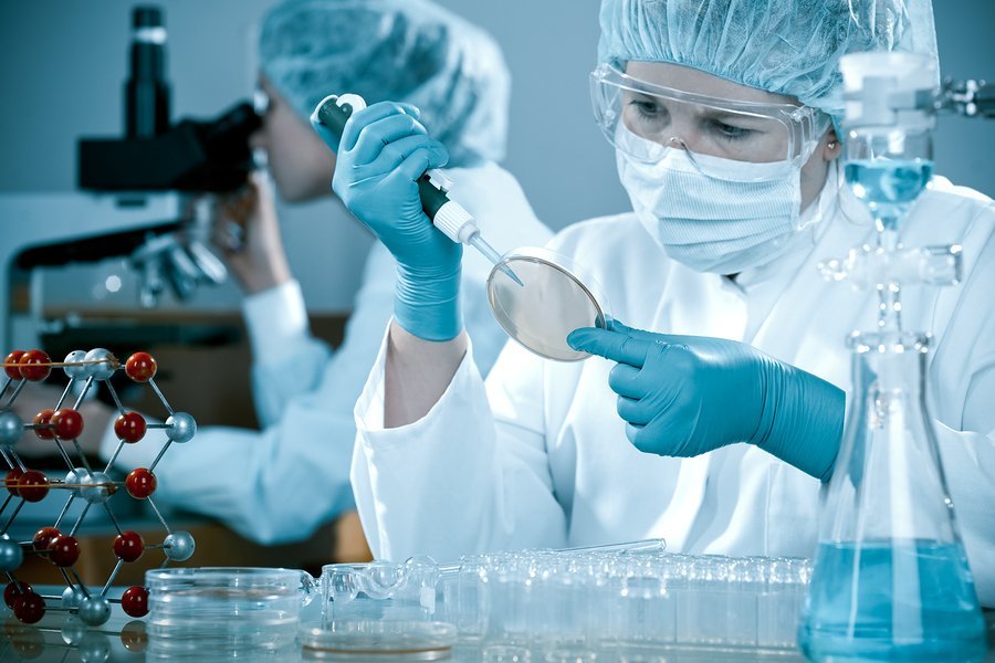 at the laboratory
