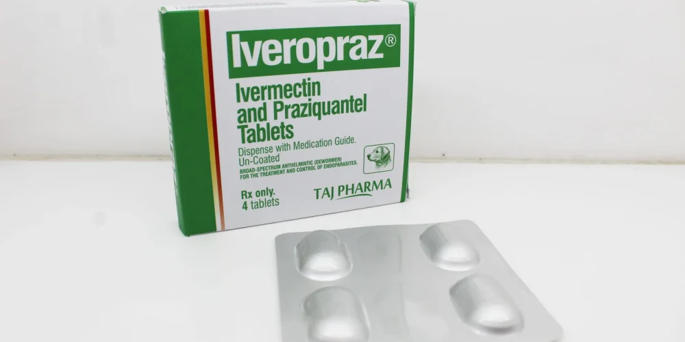 Ivermectin 2mg and Praziquantel 50mg Tablets Manufacturers India