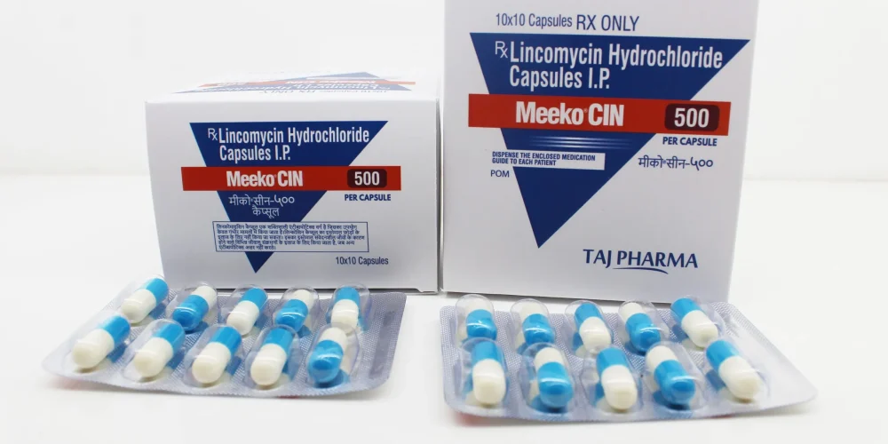 Lincomycin Capsule Manufacturer, Supplier in Vapi, Gujarat