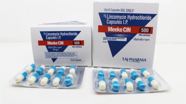 Lincomycin Capsule Manufacturer, Supplier in Vapi, Gujarat