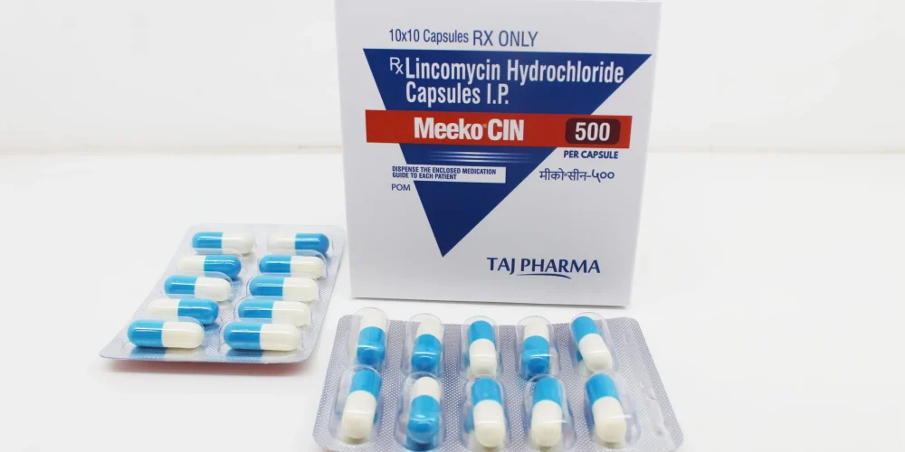 Lincomycin HCL Capsule 500mg